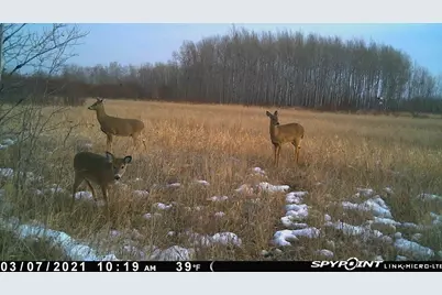 Tbd 51st Street SW, Baudette, MN 56623 - Photo 25