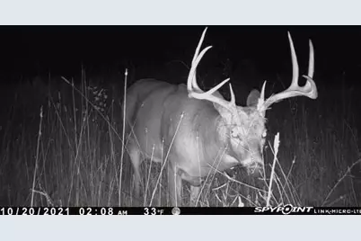 Tbd 51st Street SW, Baudette, MN 56623 - Photo 23