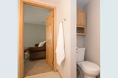 265 Arbor Curve NE, Cokato, MN 55321 - Photo 53