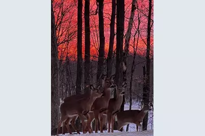 323 220th, Comstock, WI 54826 - Photo 31