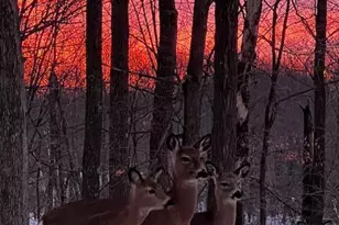 323 220th, Comstock, WI 54826 - Photo 31