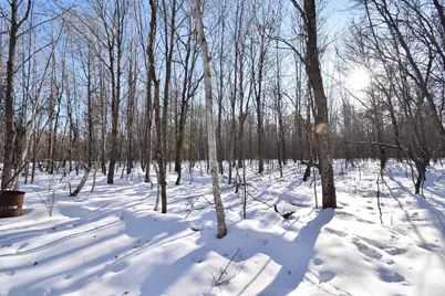 Lots 1-4 Clam Lake Drive, Siren, WI 54872 - Photo 5