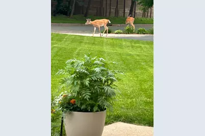 7221 Humboldt Avenue S, Richfield, MN 55423 - Photo 23