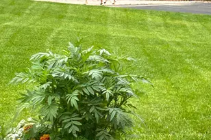 7221 Humboldt Ave S, Richfield, MN 55423 - Photo 23