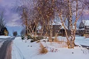 4622 Bluebell Trail N, Hamel, MN 55340 - Photo 59