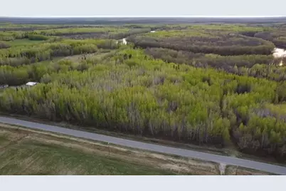 Tbd County Road 79, Littlefork, MN 56653 - Photo 5