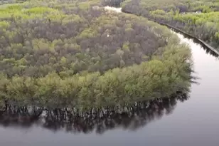 Tbd County Road 79, Littlefork, MN 56653 - Photo 1