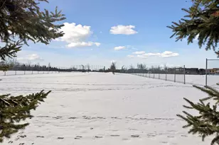 1009 Victoria Greens Blvd, Victoria, MN 55386 - Photo 45