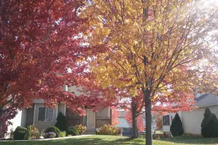 15929 Crane St NW, Andover, MN 55304 - Photo 43