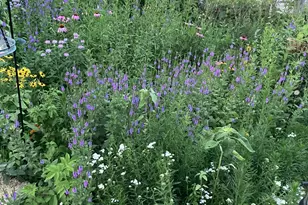 3810 1st Pl NW, Rochester, MN 55901 - Photo 33