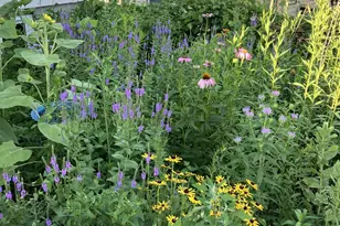 3810 1st Pl NW, Rochester, MN 55901 - Photo 37