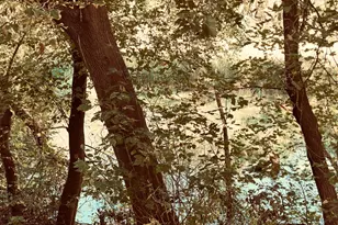 3220 Aquila Ln S, Saint Louis Park, MN 55426 - Photo 53