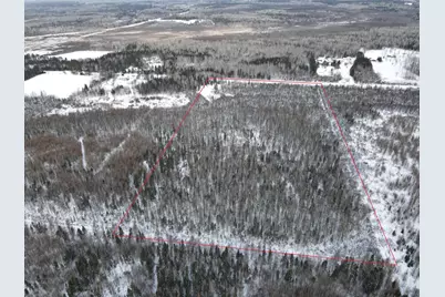 8624 Zim Road, Forbes, MN 55738 - Photo 3