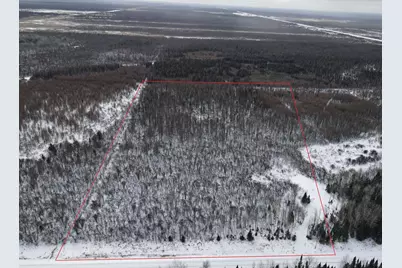 8624 Zim Road, Forbes, MN 55738 - Photo 1