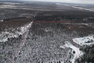 8624 Zim Rd, Forbes, MN 55738 - Photo 1