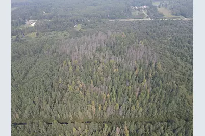 8624 Zim Road, Forbes, MN 55738 - Photo 19