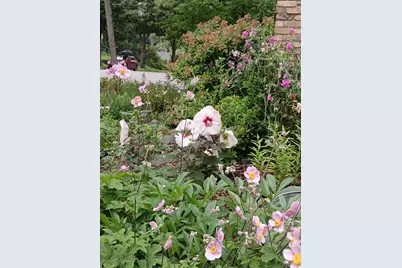 3700 Thomas Avenue N, Minneapolis, MN 55412 - Photo 37