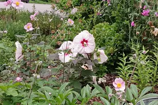 3700 Thomas Ave N, Minneapolis, MN 55412 - Photo 37