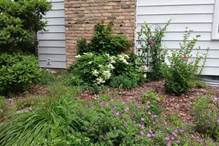 3700 Thomas Ave N, Minneapolis, MN 55412 - Photo 33