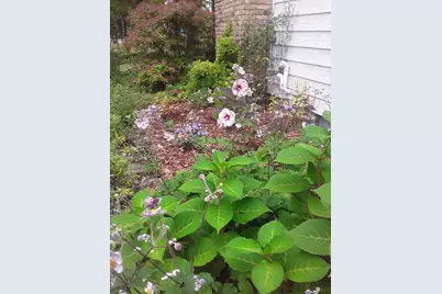 3700 Thomas Avenue N, Minneapolis, MN 55412 - Photo 39