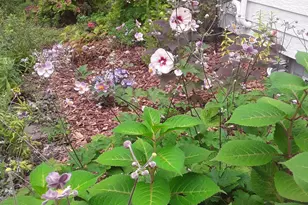 3700 Thomas Ave N, Minneapolis, MN 55412 - Photo 39