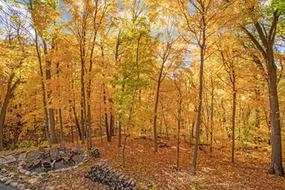 5250 Saint Albans Bay Road, Excelsior, MN 55331 - Photo 53