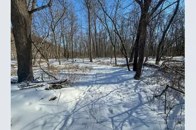 Tbd County 7 Boulevard, Welch Township, MN 55089 - Photo 17