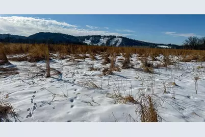 Tbd County 7 Boulevard, Welch Township, MN 55089 - Photo 21