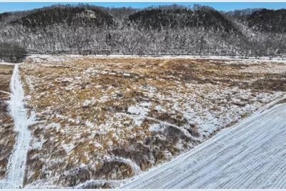 Tbd County 7 Boulevard, Welch Township, MN 55089 - Photo 5