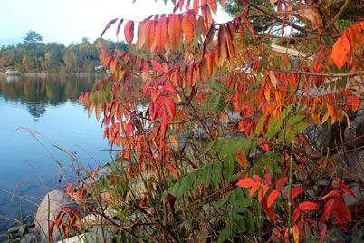 4388 Robin Lane NW, Hackensack, MN 56452 - Photo 99