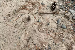 4388 Robin Ln NW, Hackensack, MN 56452 - Photo 89