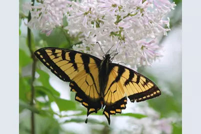 4388 Robin Lane NW, Hackensack, MN 56452 - Photo 105