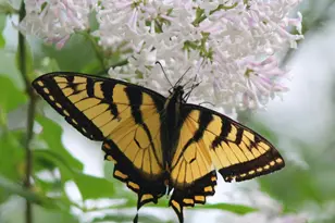 4388 Robin Ln NW, Hackensack, MN 56452 - Photo 105