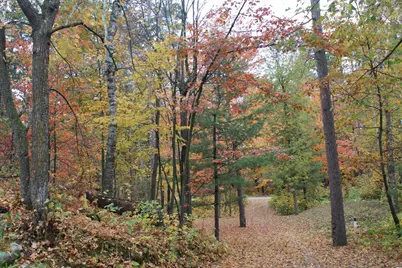 4388 Robin Lane NW, Hackensack, MN 56452 - Photo 101