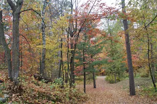 4388 Robin Ln NW, Hackensack, MN 56452 - Photo 101