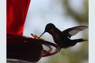 4388 Robin Lane NW, Hackensack, MN 56452 - Photo 111