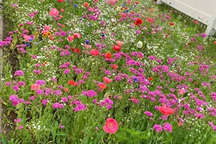 1406 O'Connell Dr, Hastings, MN 55033 - Photo 33