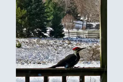 2906 Innsdale Avenue N, Lake Elmo, MN 55042 - Photo 9