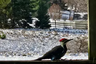 2906 Innsdale Ave N, Lake Elmo, MN 55042 - Photo 9