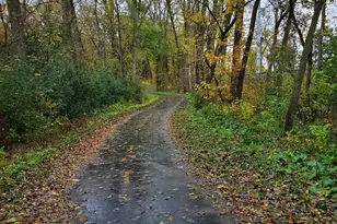 1304 W Medicine Lake Dr, Plymouth, MN 55441 - Photo 29