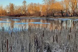 1304 W Medicine Lake Dr, Plymouth, MN 55441 - Photo 27