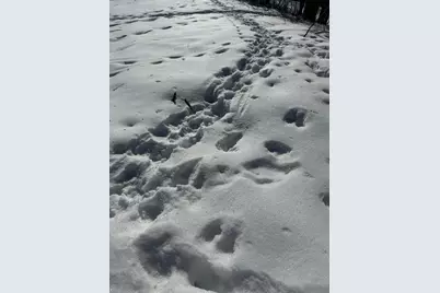 26119 Quarry Lane, Red Wing, MN 55066 - Photo 5