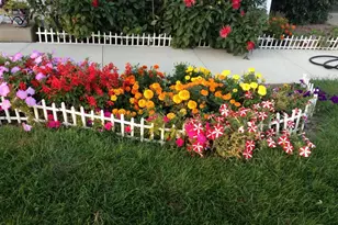 2717 59th St NW, Rochester, MN 55901 - Photo 53