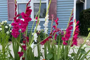 2717 59th St NW, Rochester, MN 55901 - Photo 55