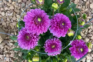 2717 59th St NW, Rochester, MN 55901 - Photo 59