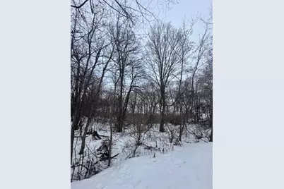 Tbd Lot 19 Ni Gig Trail, Cass Lake, MN 56633 - Photo 11