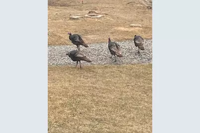 25388 County Road 523, Effie, MN 56639 - Photo 39