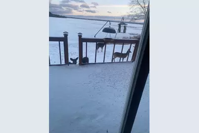 25388 County Road 523, Effie, MN 56639 - Photo 41