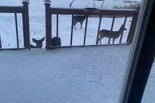 25388 Co Rd 523, Effie, MN 56639 - Photo 41