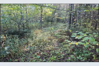 Tbd Smith Road, Couderay, WI 54828 - Photo 9